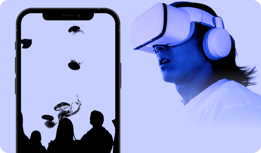 Live & Digital Campaigns